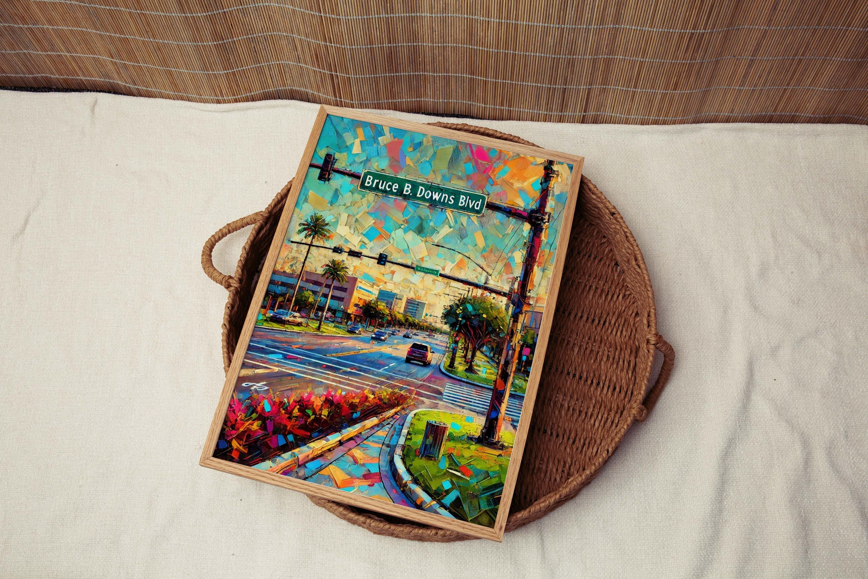 Bruce B. Downs Boulevard Wall Art Map - Tampa, Florida, USA