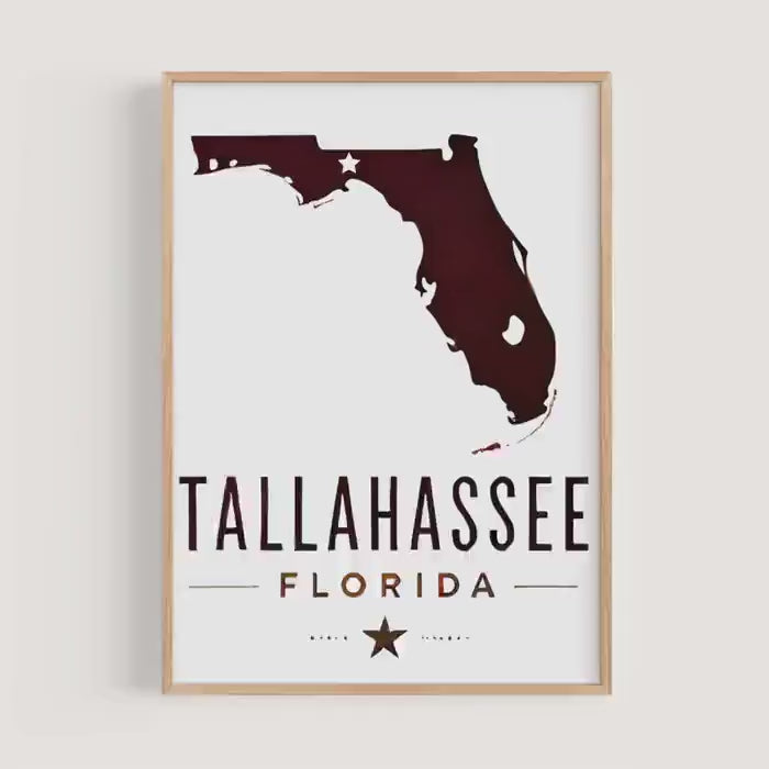 Tallahassee Wall Art Decor - Tallahassee, Florida, USA